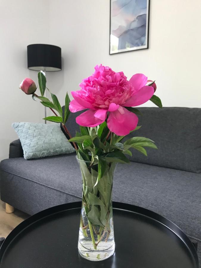 Apartman Na Kopci Krucemburk Екстер'єр фото